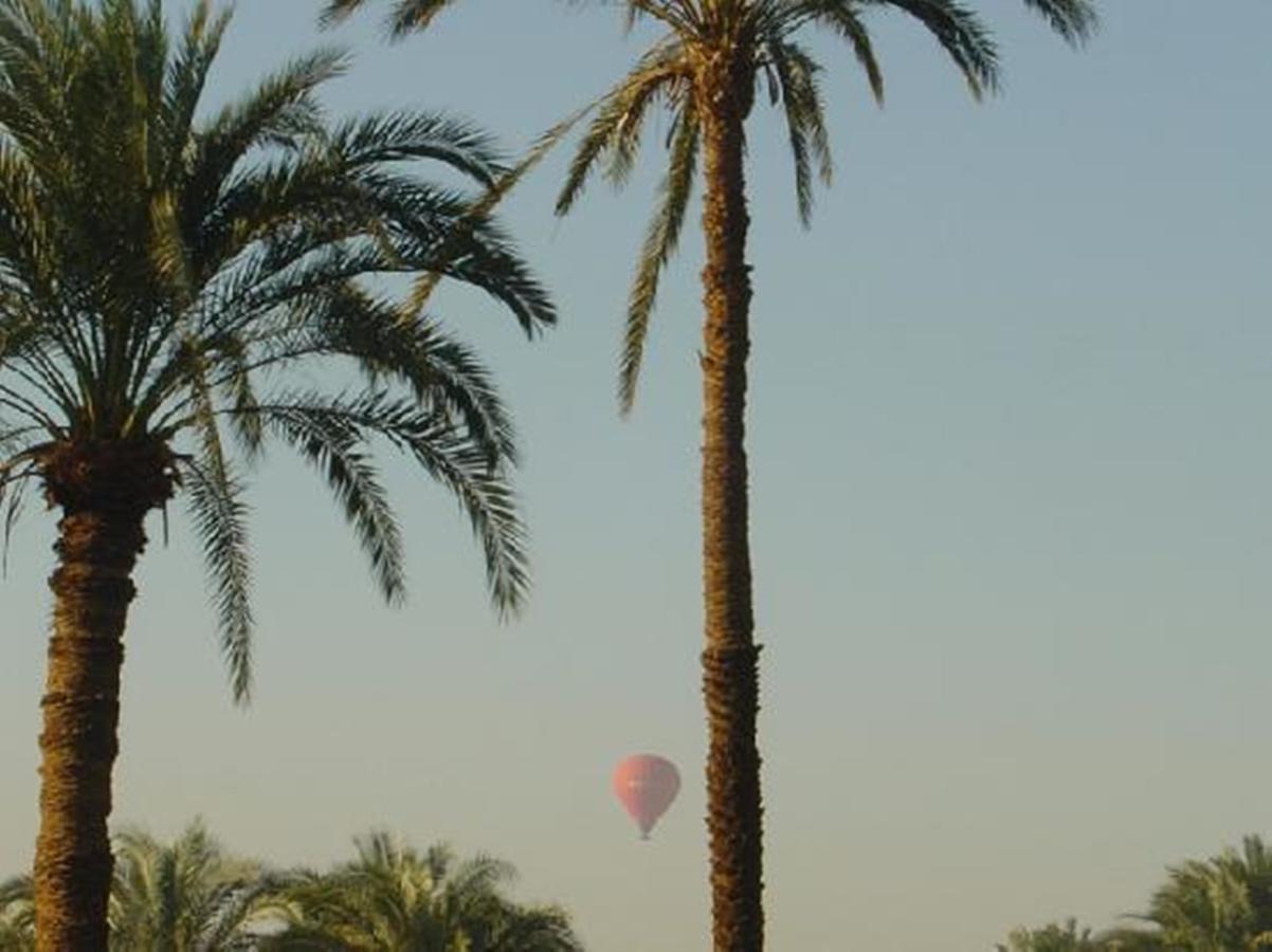 El Nakhil Hotel Luxor Exteriör bild