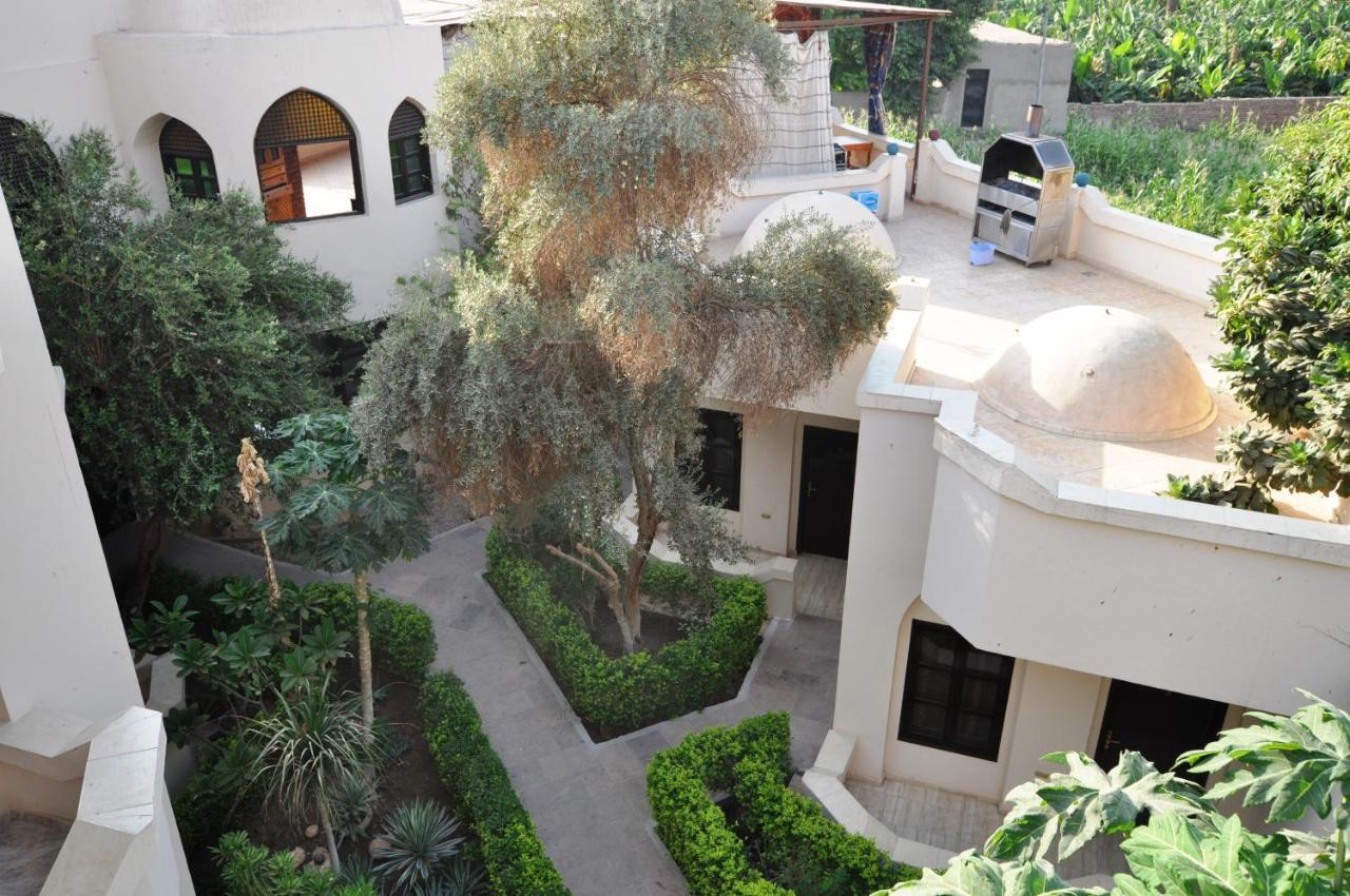 El Nakhil Hotel Luxor Exteriör bild